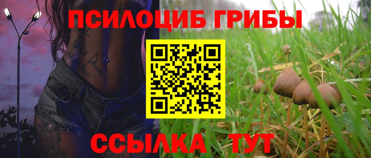 Галлюциногенные грибы мицелий  Галлюциногенные грибы прущие грибы  Вход с VPN  Нарьян-Мар 